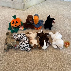 Ty Beanie Baby Lot of 9!